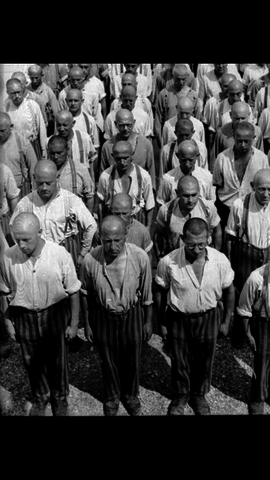 Japanese internment camps begin