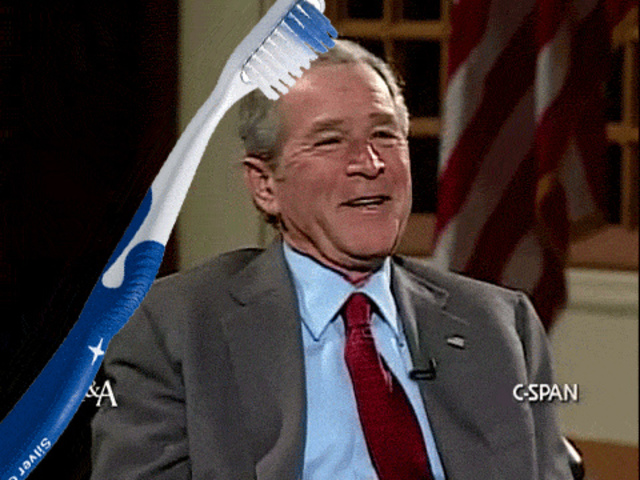 George W. Bush re-elected