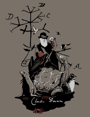 Origen de las Especies