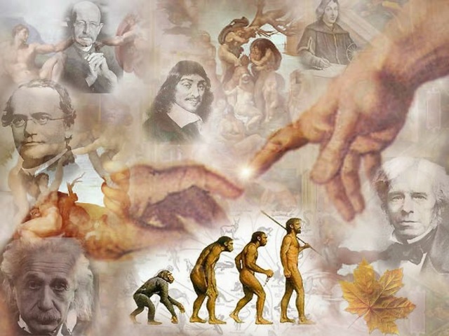 Origen de la investigación.