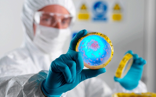 Edad contemporánea.