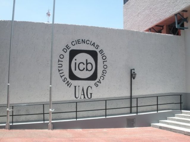 Me salí de medicina