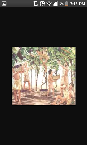 Unit 2, who the Helots were