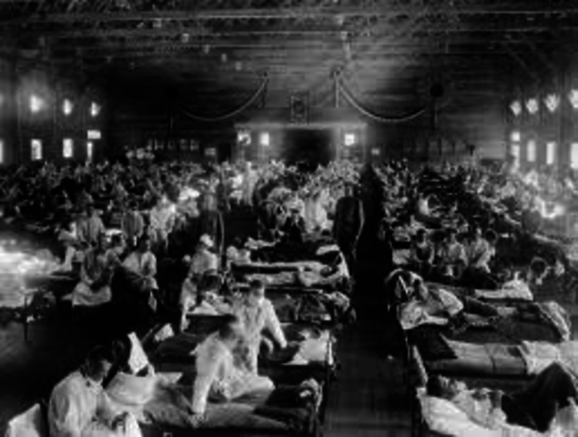 Worldwide flu epidemic kills 30 million