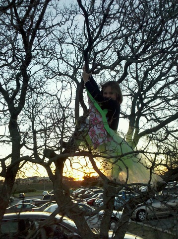 I was a Butterfly that coudn't be kept down