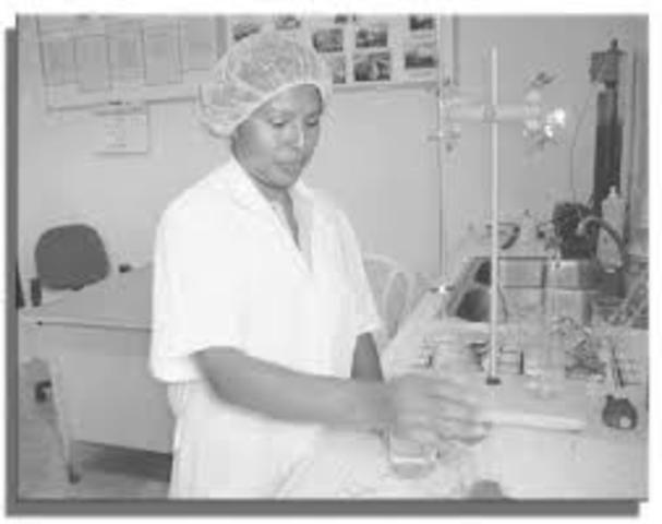 Primer programa de Ionidacion de la sal