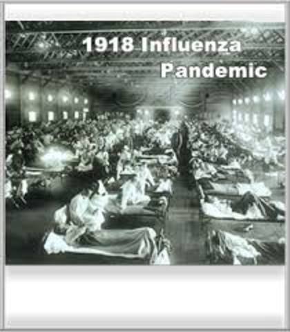 Flu Epidemic