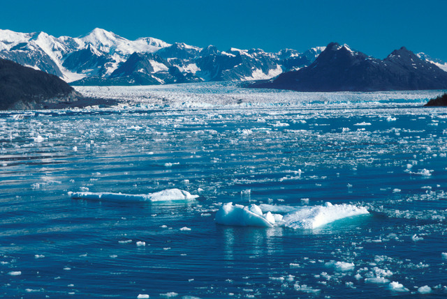Ice from Columbia Glacier