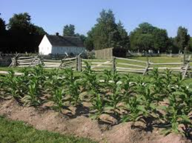 Farming Difficulties