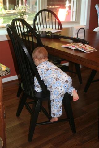 Toddlerhood - Physical independancy - Physical