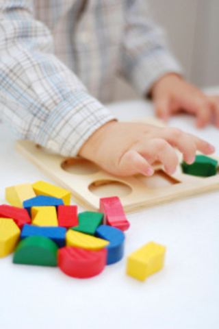 Toddlerhood - Problem Solving and Puzzle Pieces - Cognitive