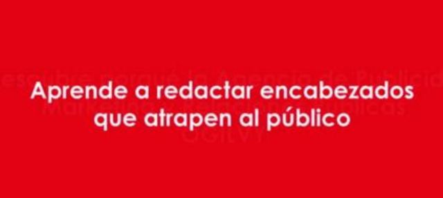 Contratados por una empresa Puerto Riqueña