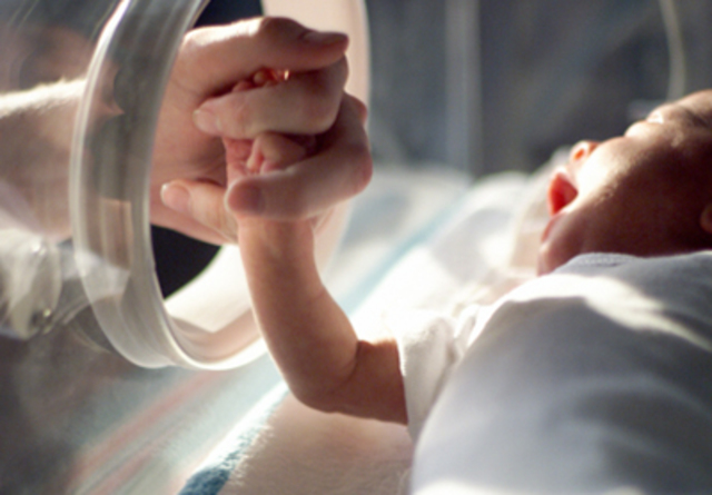 Entrada a la incubadora.