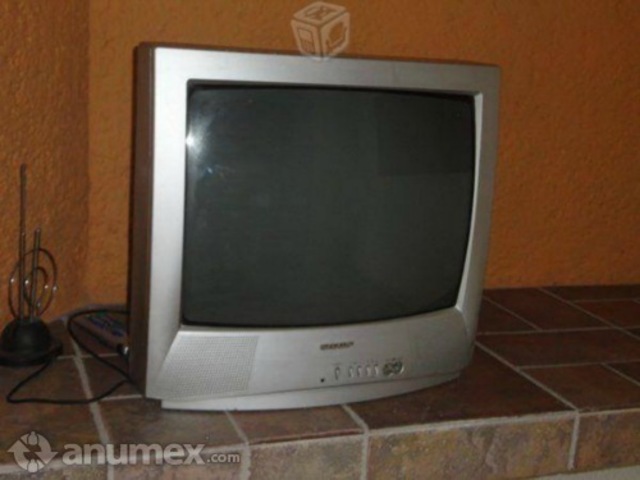 Mi primera television