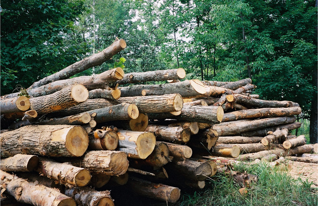 Timber Industry