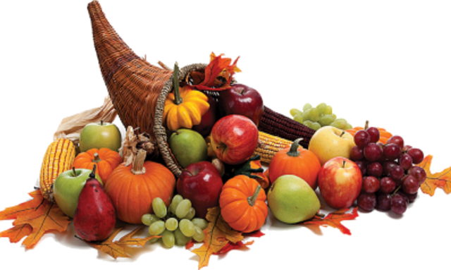 Cornucopia Guessing Contest.