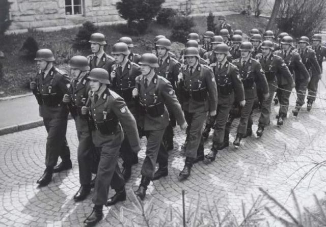German Troops Marched Into Austria