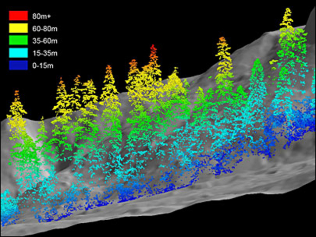 Pioneros en Ingeniería Colombiana