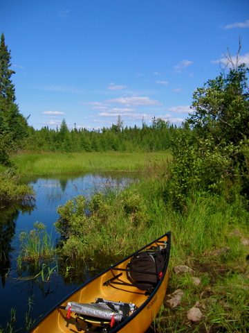 South east of El Golfo de Santa Clara
