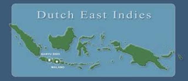 Why the Dutch East Indies was important to have