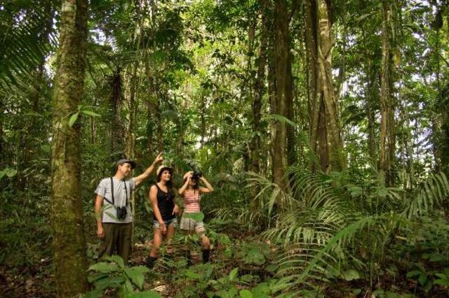 Reconocimiento de la actividad