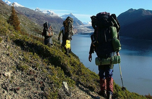 Acreditación de la profesión