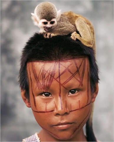 Ley 1185 Modificación