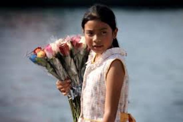 Ley 679 Explotación infantil