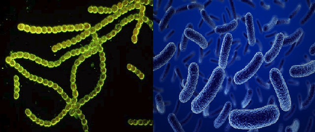 Hace 2000 millones de años.