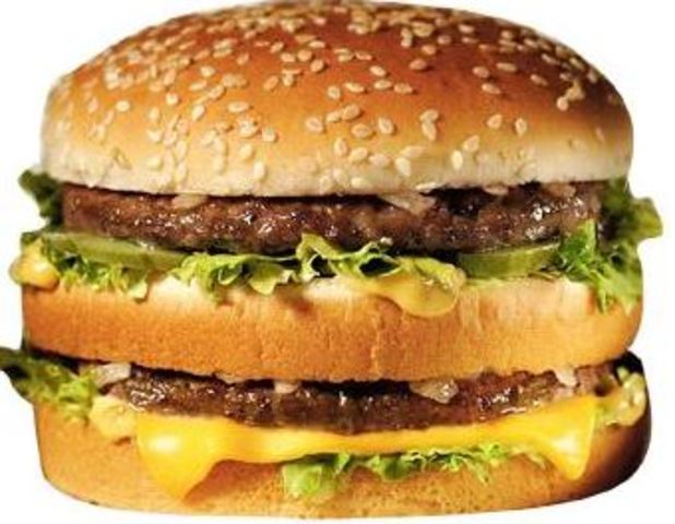 HAMBURGUESAS PRODUCTO INDUSTRIAL