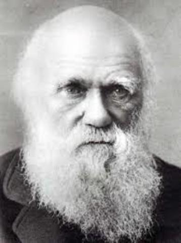 Darwin