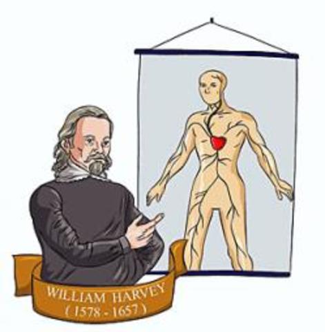 Circulación de la sangre. William Harvey
