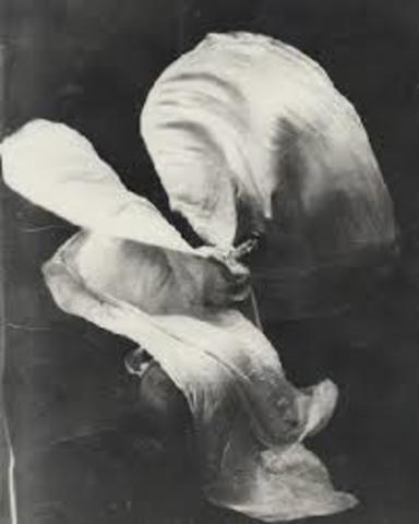 loie fuller