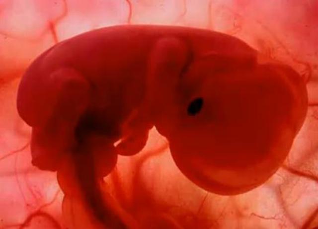 Semana cuatro (Primer mes)