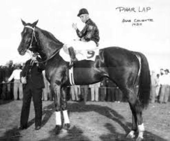 Phar lap wins