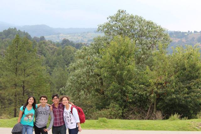 Participation in the project "Brigadas 2015"