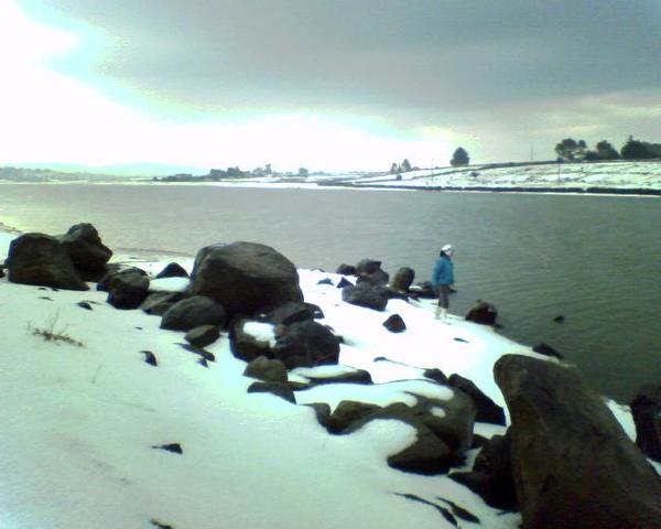 Comienzan los viajes