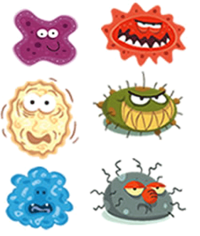 Teoría de los gérmenes de las enfermedades infecciosas