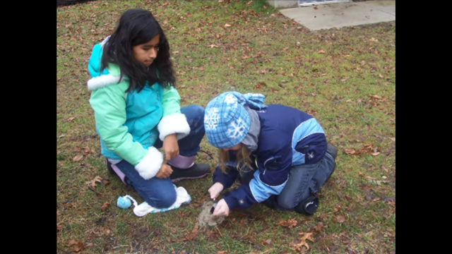 Learned the Importance of Teamwork