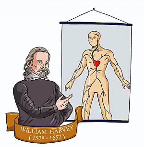 Circulación de la sangre. William Harvey