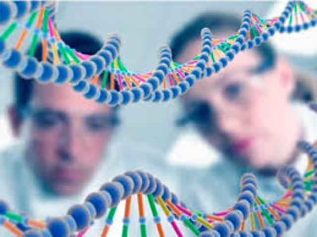 Totalidad genoma humano. 36000 genes