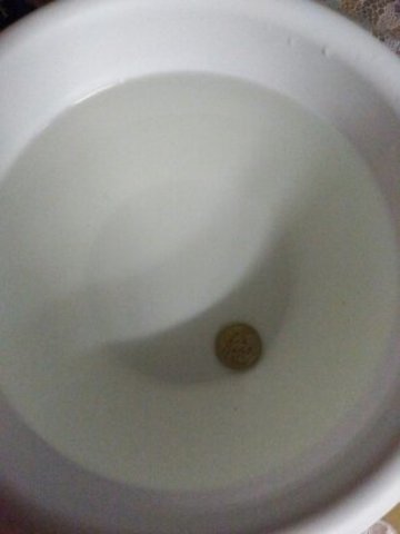 Step Three: Test Your Hypothesis