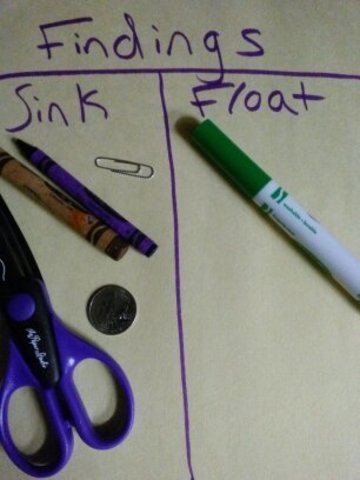 Step Four: State Your Findings