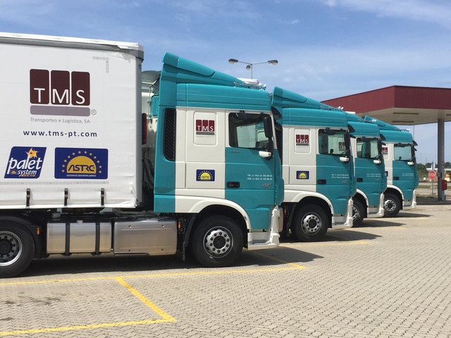 TMS fatura 3,5 milhões de euros