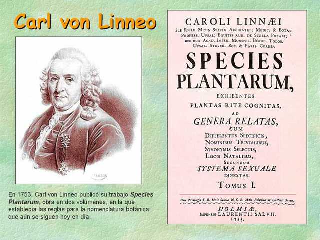 CLASIFICACIÓN DE LAS ESPECIES (KARL VON LINEO)