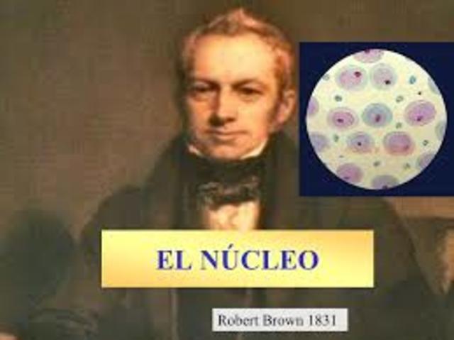 NÚCLEO CELULAR (ROBERT BROWN)