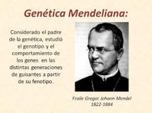 REGLAS HERENCIA GENÉTICA (GREGOR MENDEL)