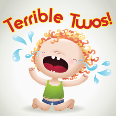 The first two years- Cognitive: