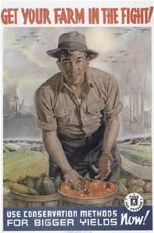 Agricultural Adjustment Act