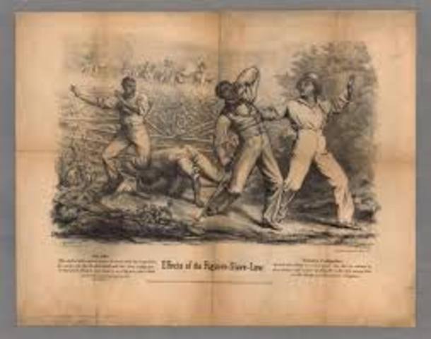 Picture of Fugitive Act